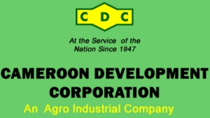 Cameroun - Relance de la CDC: Il faut 80 millions de FCFA