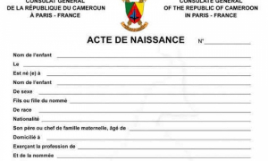 Extrême Nord: La difficile problématique des enfants sans actes de naissance