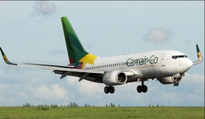 Camair-Co : l’immobilisation d’une partie de la flotte fait chuter les recettes de moitié  