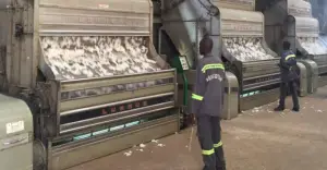 Transformation du Coton: un complexe industriel verra le jour à Gounna (Nord)