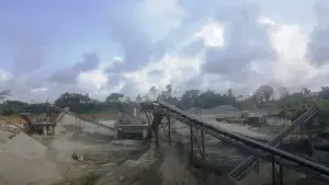 Agro-industrie et déforestation au Cameroun : Le cri de détresse des populations autochtones de Logbadjeck