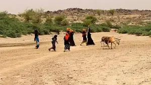Italie : Trois migrants arrêtés en Sicile pour trafic d&#039;êtres humains