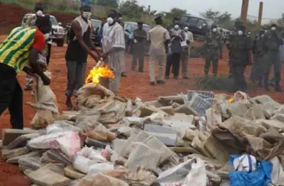 West region: Huge stock of expired drugs, cigarette seized, destroyed
