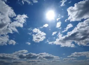 Canicule : 2019 sera l’année la plus chaude jamais enregistrée dans le monde
