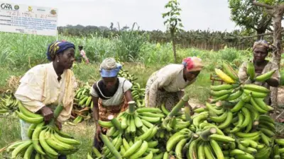 La délégation régionale du commerce pour le Nord lutte contre la vie chère