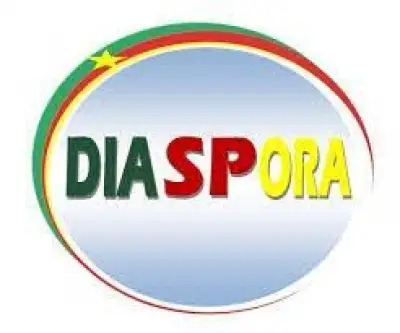 Activités parlementaires : Journée d’information des députés sur la problématique de la diaspora camerounaise