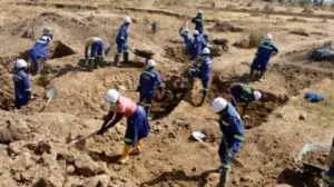 Lutte contre le chômage des jeunes : bientôt des réponses efficaces dans le septentrion et l&#039;Est du Cameroun