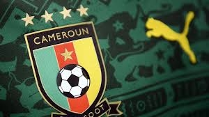 Cameroun : 16 personnes licenciées à la Fecafoot