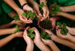 Agro alimentaire : Mésentente entre les associations environnementales planétaires et le gouvernement français