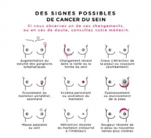Cancer du Sein: Quel peut être l’apport de la médecine traditionnelle?
