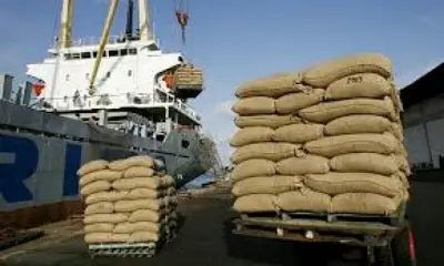 Sanctions économiques : Le Cameroun soumis aux droits de douane avant toute exportation vers les Etats-Unis