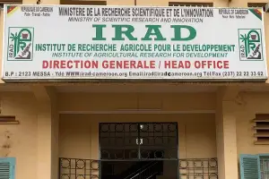 Institut de Recherche Agricole pour le Développement: Près de 70 employés licenciés