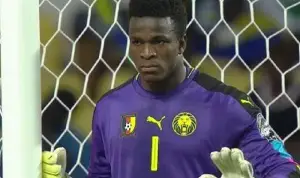 Grève des lions : Fabrice Ondoa défend Idriss Carlos Kameni