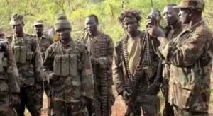 République Démocratique du Congo : Le Chef de l’Etat invité à faire cesser les massacres des ADF à Beni
