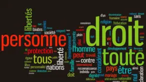 La Commission nationale des droits de l’Homme condamne l’incendie de l’hôpital de district de Kumba