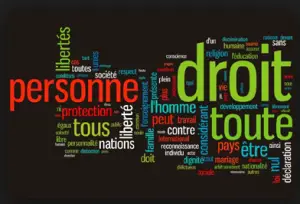 Respect des Droits de l’Homme : Un Concept qui prend peu à peu corps au Cameroun