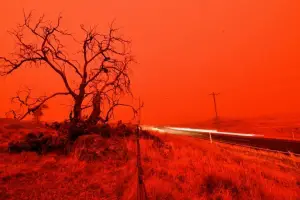 Australie : 10.000 dromadaires seront tués par l’Etat