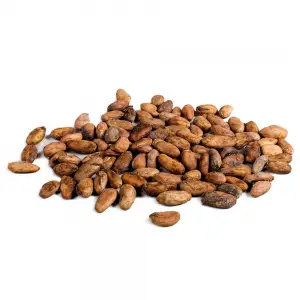 Cacao culture: La Sodecao bientôt sur de nouveaux rails