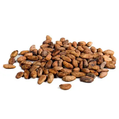 Cacao culture: La Sodecao bientôt sur de nouveaux rails