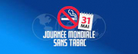 Le tabac : Une menace pour notre environnement