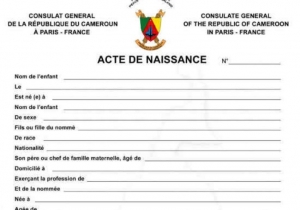 Enregistrement des naissances : Les autorités veulent informatiser tous les centres d&#039;état civil