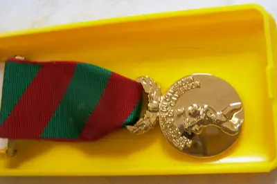 Des décorations pour le personnel du Palais de l’Unité