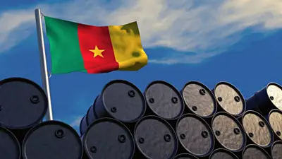 Baisse de la production nationale de pétrole brut