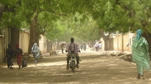 Vente illicite des terrains, spéculation foncière et coupure anarchique du bois de retour à l&#039;Extrême-Nord