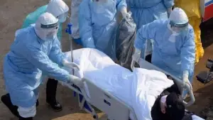 État du Coronavirus au Cameroun : Les chiffres ont augmenté