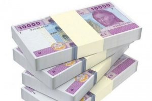 Service de la dette : 07 pays membres du G20 accordent au Cameroun la suspension de leurs créances