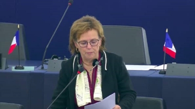 Cameroun : Dominique Bilde invite le parlement européen à assister le Cameroun « sans ingérence ni condescendance »