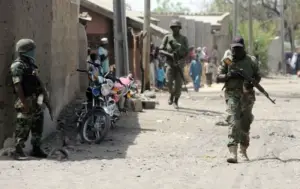 Extrême-Nord : 7 personnes tuées dans une incursion de Boko Haram à Assighassia