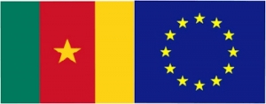 Accord de partenariat économique : Le Cameroun débute la suppression des droits de douanes sur certains produits européens